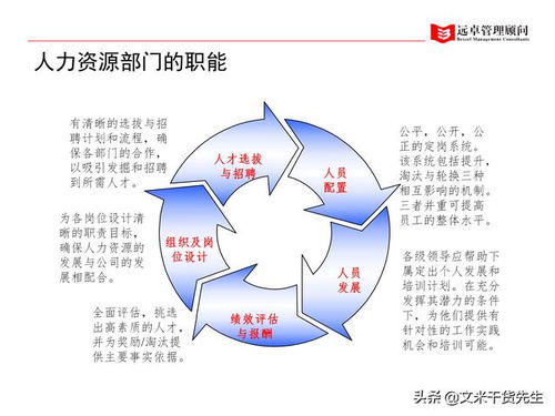 系统性软件开发 驱动100页客户案例与人力资源管理的全面提升
