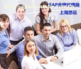 选择上海悠远SAP咨询公司，享受专业SAP金牌服务