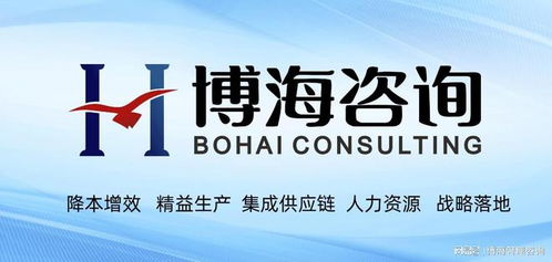 广东6S精益管理咨询公司 以软件开发为引擎，实现企业成本优化新突破